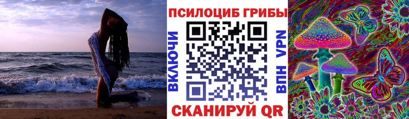 Галлюциногенные грибы прущие грибы  Коломна 